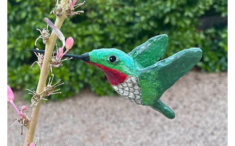 Humming Hummingbirds